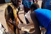 Une aide alimentaire : ces femmes reçoivent 50 kg de sorgho pour nourrir leur famille. (csi)