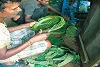Ces travailleurs fabriquent de la vaisselle en fibre végétale. (csi)